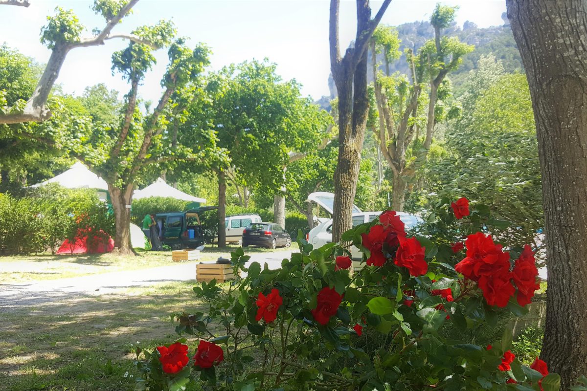 Camping La Muse Gorges du Tarn