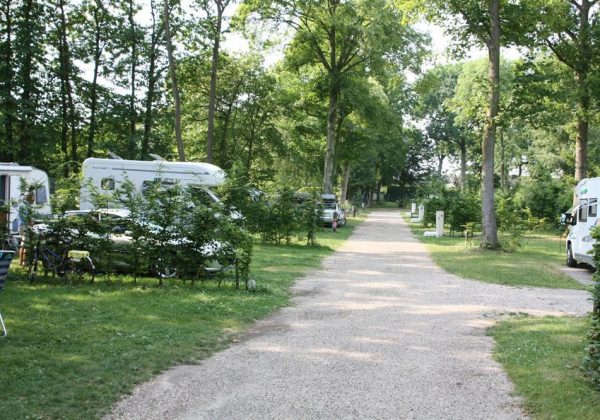 Camping La Forêt