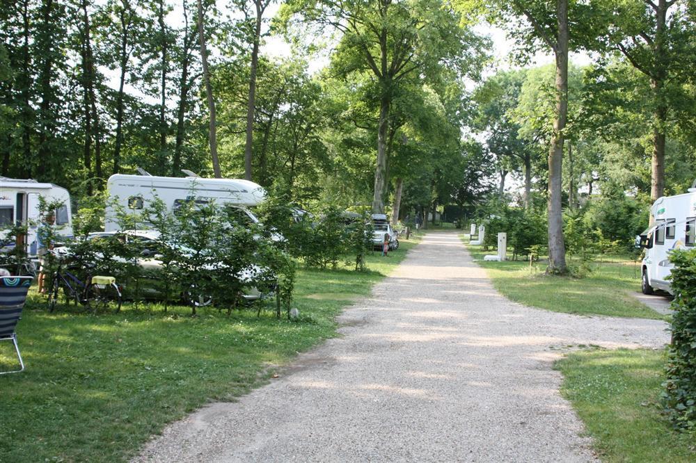 Camping La Forêt