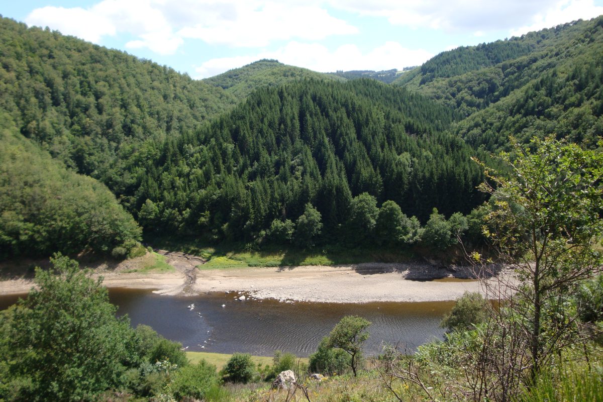Camping Domaine de La Taillade