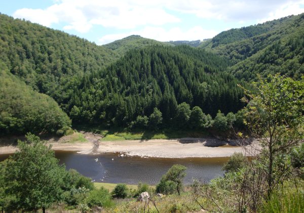 Camping Domaine de La Taillade