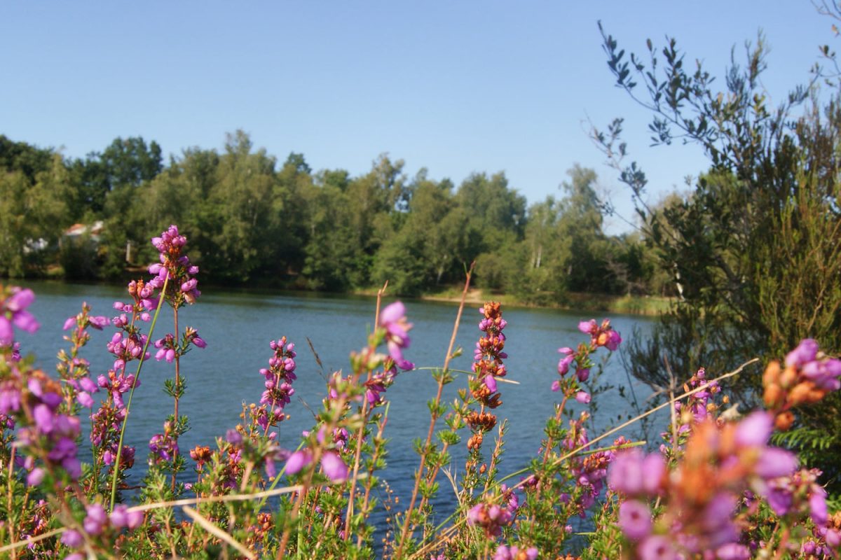 Camping Les Etangs Mina