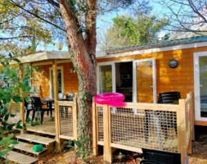 COTTAGE CONFORT