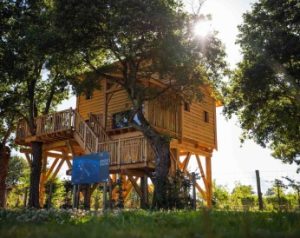 Hütte dans les arbres