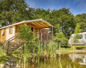 Lodge CosyFlower