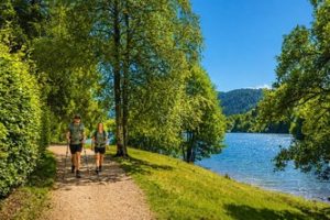 Stacaravan 4 tot 6 personen