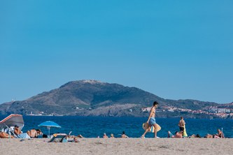 Pinède du camping Les Pins à Argelès-sur-Mer côte Méditerranée