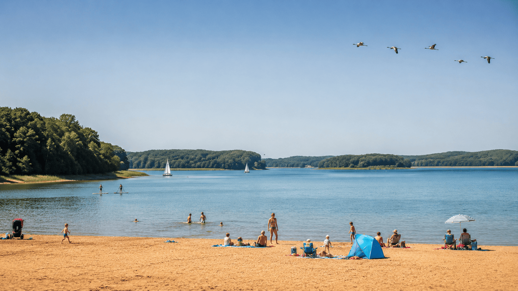 Lac du Der